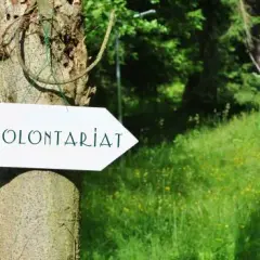Ile godzin trzeba przepracować w wolontariacie w szkole? Sprawdź!