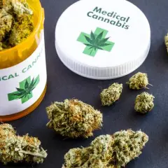 Marihuana lecznicza: zastosowanie i skuteczność w terapii