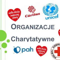 Fundacje charytatywne w Polsce: Kluczowe organizacje i ich misje