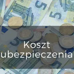 Ile kosztuje ubezpieczenie wolontariusza? Sprawdź, co musisz wiedzieć