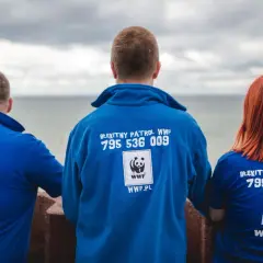 Jak zostać wolontariuszem WWF i zmienić świat na lepsze