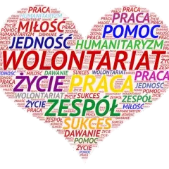 7 najważniejszych cech wolontariusza - jakie są i jak je rozwinąć?