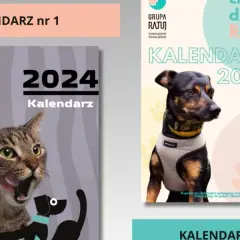Jak utworzyć instytucję charytatywną od podstaw: kompletny poradnik 2025