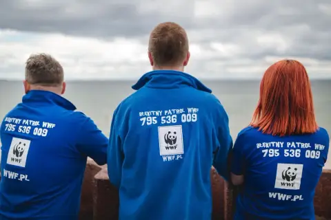Jak zostać wolontariuszem WWF i zmienić świat na lepsze