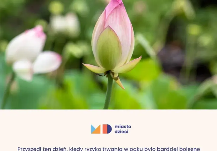 Złote myśli krótkie: 20 inspirujących cytatów na każdy dzień