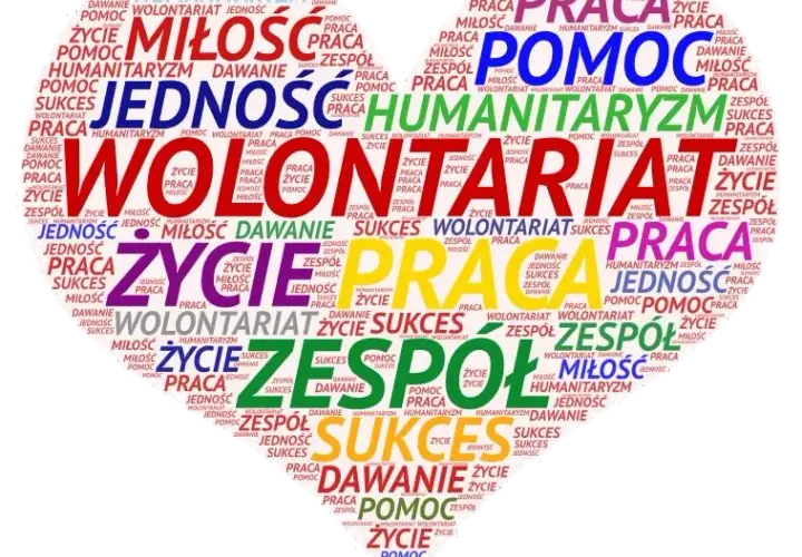 7 najważniejszych cech wolontariusza - jakie są i jak je rozwinąć?