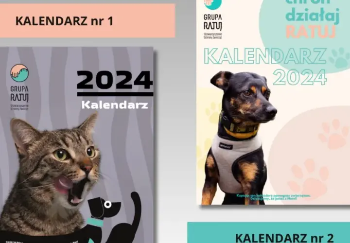 Jak utworzyć instytucję charytatywną od podstaw: kompletny poradnik 2025