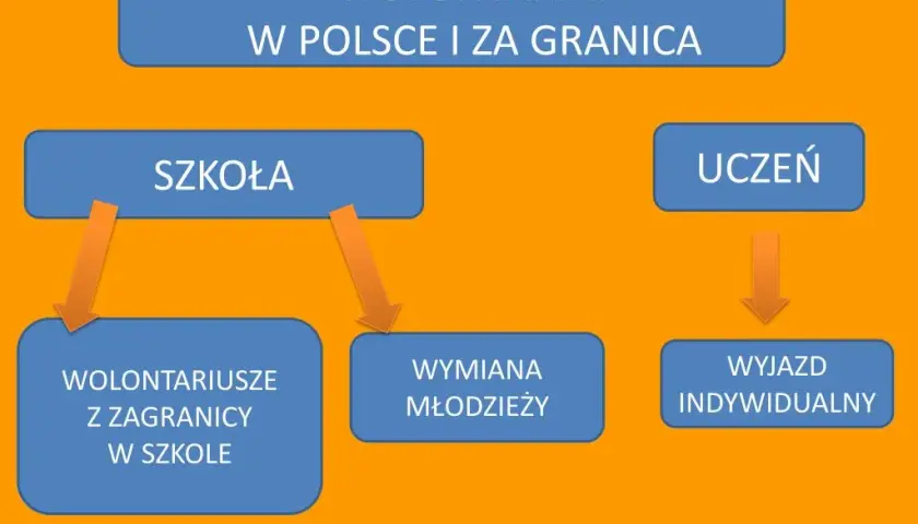 Jakie są formy wolontariatu? Odkryj możliwości, które zmieniają życie