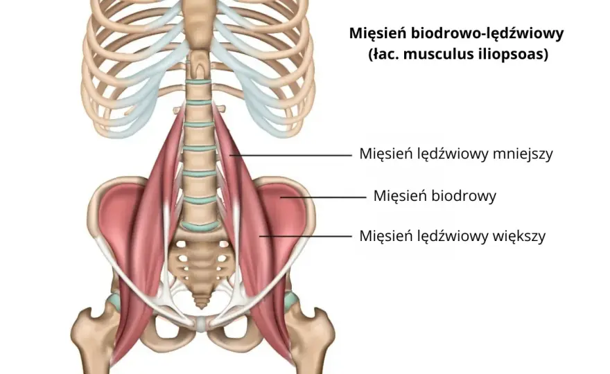 Ból mięśnia biodrowo-lędźwiowego: 5 skutecznych metod rozciągania