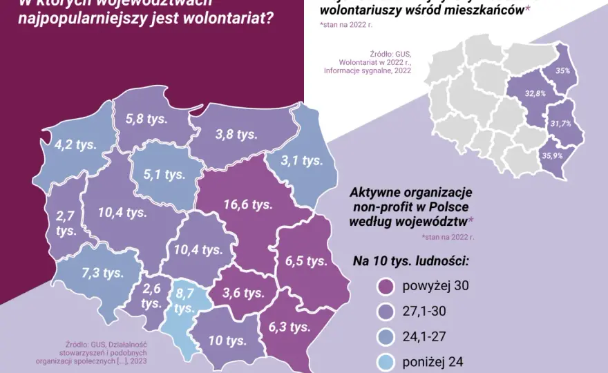 Wolontariaty w Polsce: poznaj różnorodne możliwości pomocy społecznej