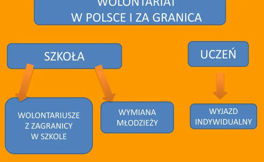 Jakie są formy wolontariatu? Odkryj możliwości, które zmieniają życie