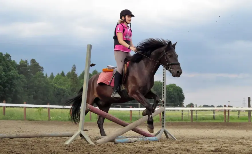 Klub Sportowy Equiright: najlepsze lekcje jazdy konnej w Warszawie