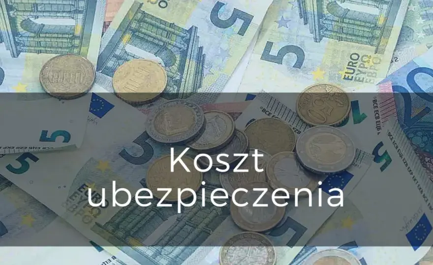 Ile kosztuje ubezpieczenie wolontariusza? Sprawdź, co musisz wiedzieć