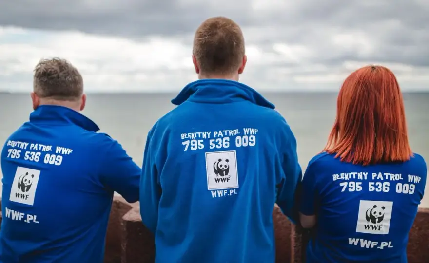 Jak zostać wolontariuszem WWF i zmienić świat na lepsze