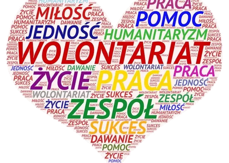 7 najważniejszych cech wolontariusza - jakie są i jak je rozwinąć?