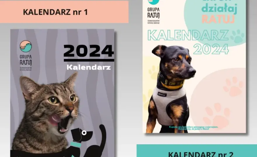 Jak utworzyć instytucję charytatywną od podstaw: kompletny poradnik 2025