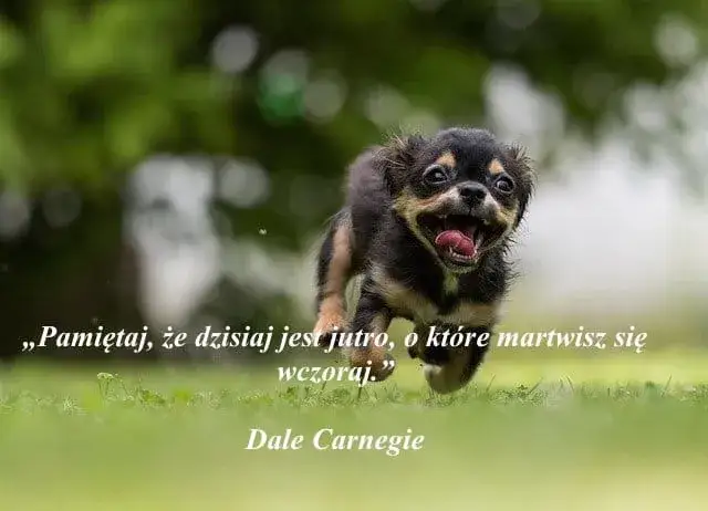 Zdjęcie Śmieszne anegdoty o życiu, które skrywają mądre życiowe lekcje
